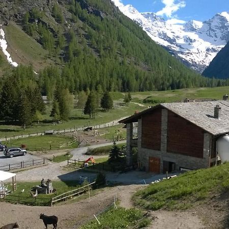 La Ferme du Grand Paradis Cogne Bagian luar foto