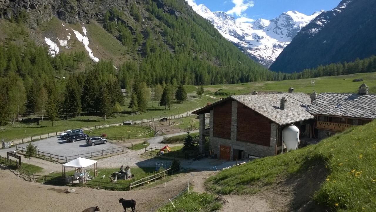 La Ferme du Grand Paradis Cogne Bagian luar foto