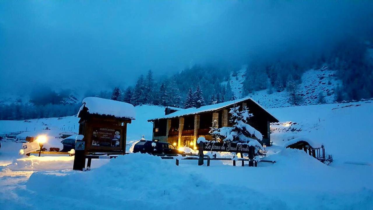 La Ferme du Grand Paradis Cogne Bagian luar foto