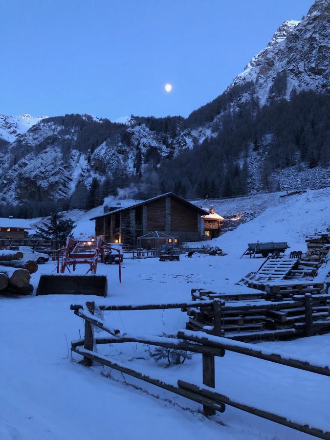 La Ferme du Grand Paradis Cogne Bagian luar foto